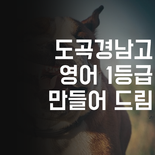 도곡경남고 영어, 포기하지 마세요 멘토가 1등급 만들어 드림