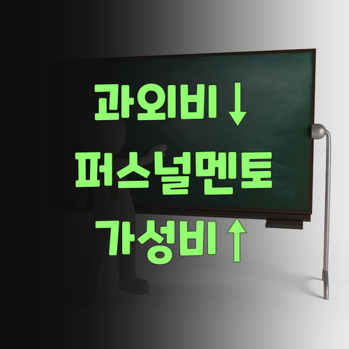 비싼 과외는 이제 그만! 퍼스널멘토가 딱이여, 딱! 알뜰살뜰 과외..