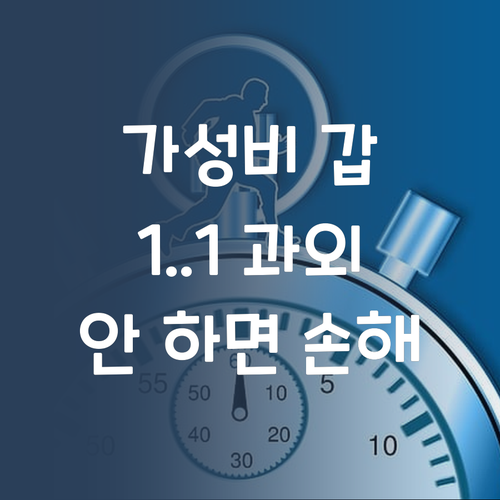 가성비 갑! 퍼스널멘토 1:1 사회 과외, 안 고르면 바보!
