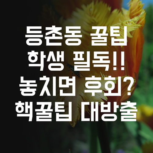 등촌동 학생 필독! 꿀팁 대방출! 놓치면 후회할지도? 😎