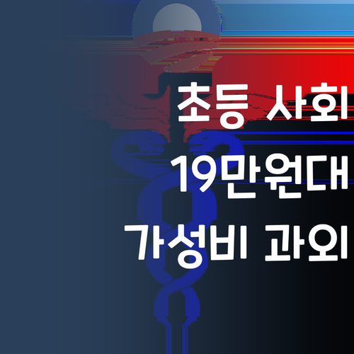 초등 사회, 19만원대로 1:1 과외?! 가성비 끝판왕 멘토링 등장!
