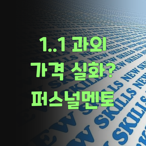 퍼스널멘토, 1:1 화상 과외가 이 가격? 실화여?