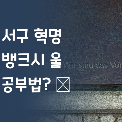 대구 서구 사회, 뱅크시도 울고 갈 혁명적인 공부법?! 💣