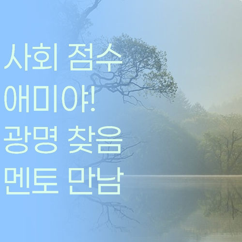 애미야, 사회 점수 짜다! 😫 퍼스널멘토 만나고 광명 찾았잖아!