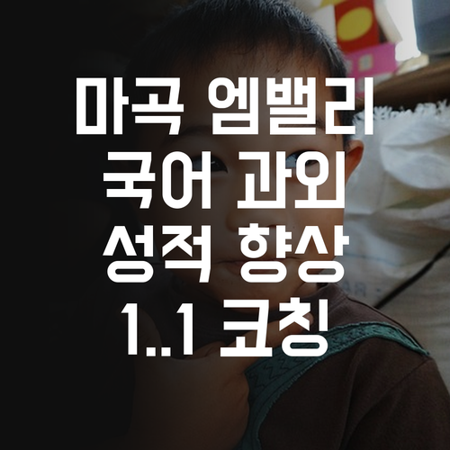 마곡엠밸리 국어 성적 올려줄 1:1 과외, 지금 바로 시작! >0<