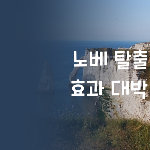영어 노베 탈출?! Q&A 콘텐츠 & 멘토링 조합✨ 효과 대박!