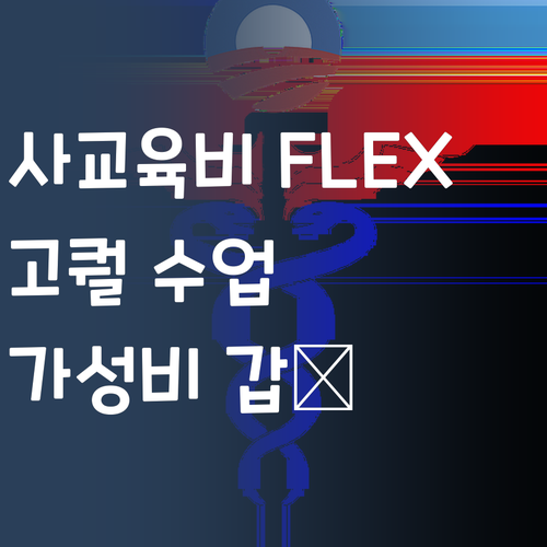 사교육비 아껴서 FLEX💸?! 퍼스널멘토 고퀄 수업 ㄹㅇ 가성비 갑!