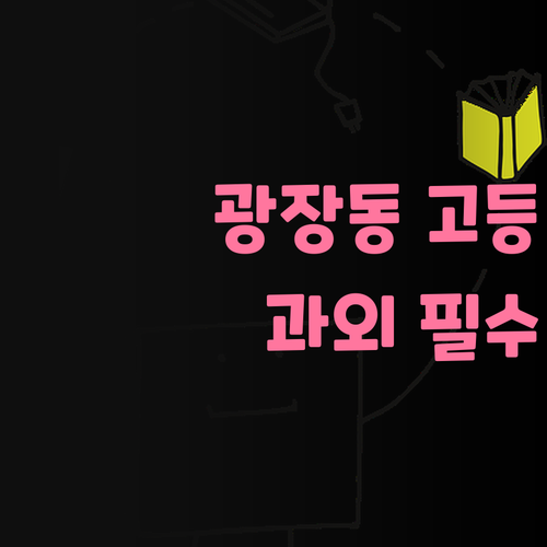 광장동 초고딩 필독! 맞춤 과외 안 받으면 너만 손해.. 진짜 후회할걸?