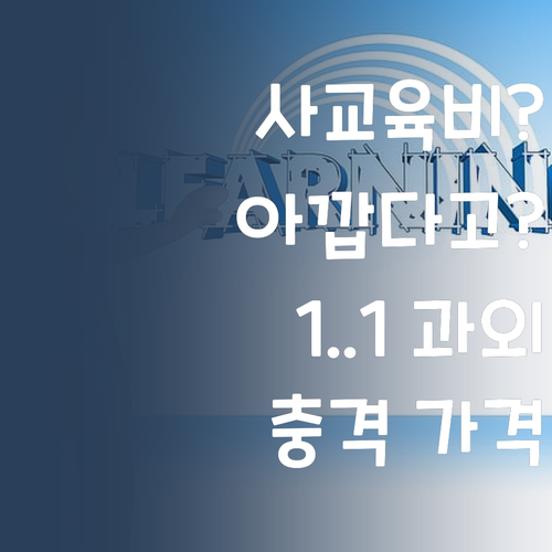 사교육비 아깝다고? 퍼스널멘토 1:1 과외 가격 보면 놀랄걸? 😲