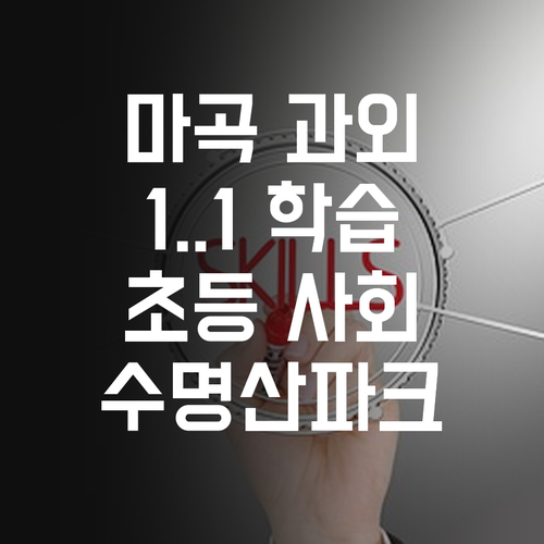 마곡수명산파크 초등 사회 과외, 왜 1:1 맞춤 학습이 답일까요?
