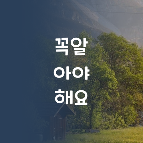 중학생 영어, 멘토 고른 언니의 솔직한 조언! 학원만이 답일까?