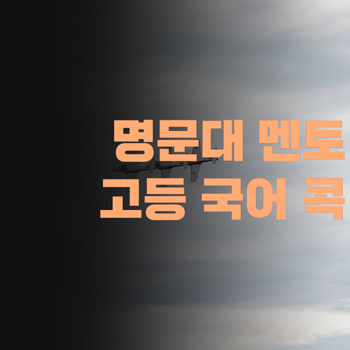 명문대 멘토가 콕! 찝어주는 고등 국어, 퍼스널멘토에서 만나보소!