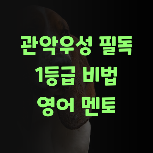 관악우성 학생 필독! 영어 멘토가 전하는 1등급 비법, 지금 바로 확인!