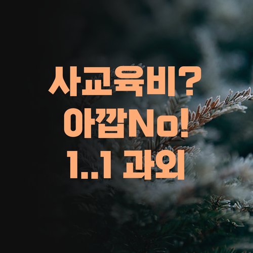 사교육비 아깝다 생각 마소! 퍼스널멘토 1:1 과외, 가격 듣고 놀라 자빠집니데이..
