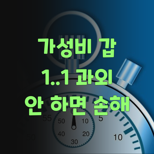 가성비 갑! 퍼스널멘토 1:1 과외, 안 하면 손해여..