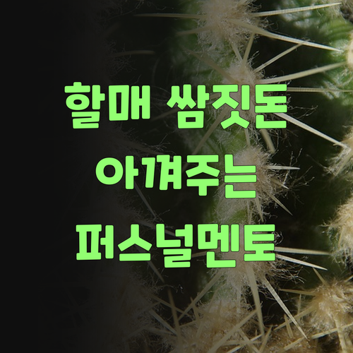 할매 쌈짓돈 아껴주는 퍼스널멘토, 칭찬 안 할 수가 없네..