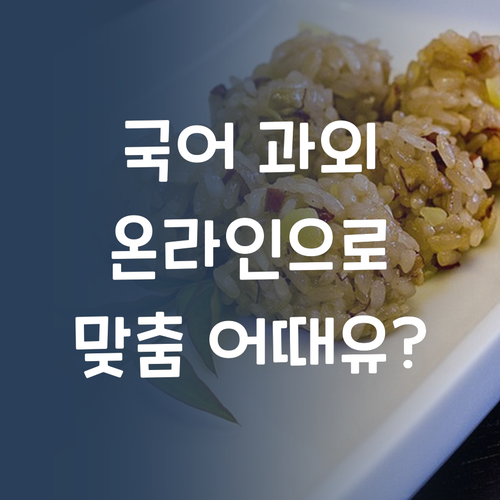 국어 과외, 이제 방문 말고 온라인! 시각형 맞춤 어때유?