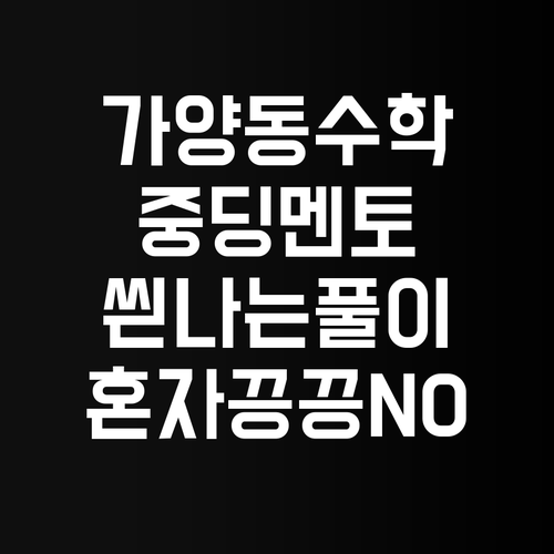 가양동 중딩 수학, 이제 멘토쌤이랑 씐나게 풀자! 혼자 끙끙 앓는 건 이제 그만!😎