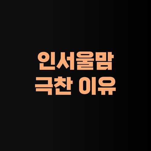 아따, 퍼스널멘토 1:1 수업! 인서울 맘들이 극찬하는 이유가 있었네!..