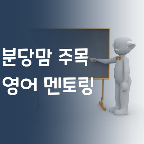 분당맘 주목 11 맞춤 영어 멘토링 비법 지금 확인