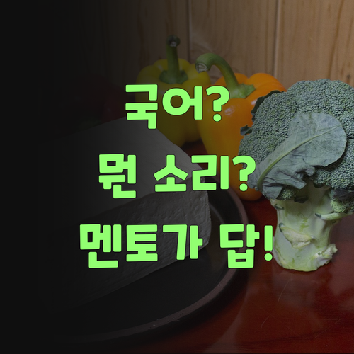 사례로 배우는 국어? 뭔 소리여? 퍼스널멘토가 답이여! ..