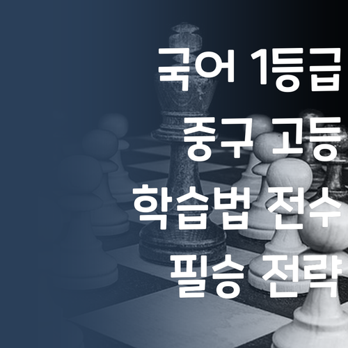 국어 1등급 멘토가 알려주는 대전 중구 고등 국어 학습법!