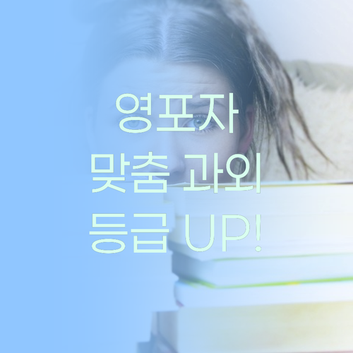 영어 노베도 괜찮아! 퍼스널멘토 1:1 과외로 등급 UP! ✨