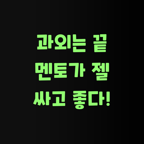 비싼 과외는 이제 그만! 퍼스널멘토가 젤 싸고 실력도 좋다니께..
