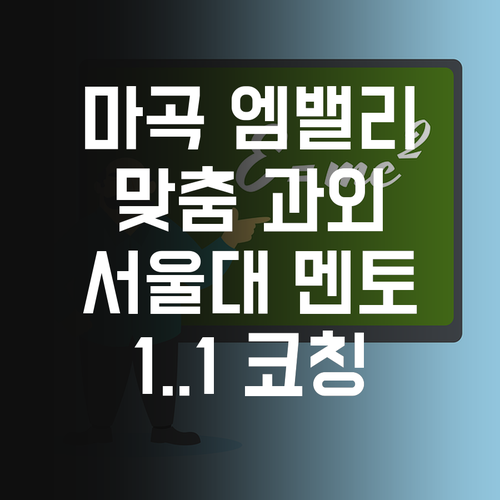 마곡엠밸리6단지 맞춤 과외, 서울대 졸업생 멘토의 1:1 코칭!
