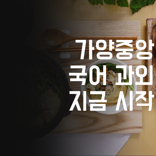 명문대 멘토의 가양중앙하이츠 맞춤 국어 과외 지금 시작하세요