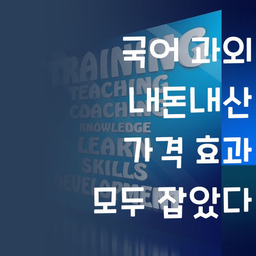 내돈내산 국어 과외! 가격&효과 모두 잡았다!