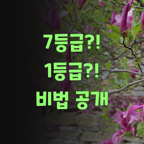 7등급에서 1등급 신화?! 봉천동 영어 쌤이 너도 주인공 만들어줄게! 궁금하면 클릭!