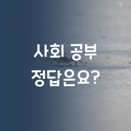 우리 아이 사회, 어떻게 공부시키지? 멘토 언니가 정답 알려줌! 🤩