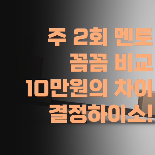 똑같은 10만원? 퍼스널멘토는 주 2회! 꼼꼼히 따져보고 결정하이소..