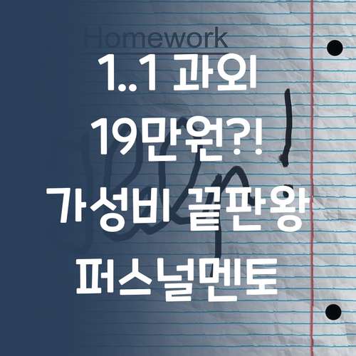 헉! 1:1 과외가 19만원대?! 퍼스널멘토, 가성비 끝판왕 등극!