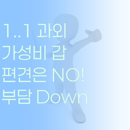 1:1 과외, 비싸다는 편견 버려! 🙅♀️ 가성비 갑!