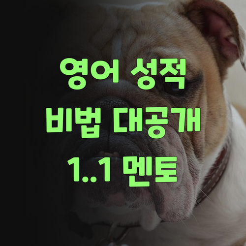고등 영어 성적 올리는 비법? 퍼스널멘토 1:1 후기, 쬐깐 궁금하제?..