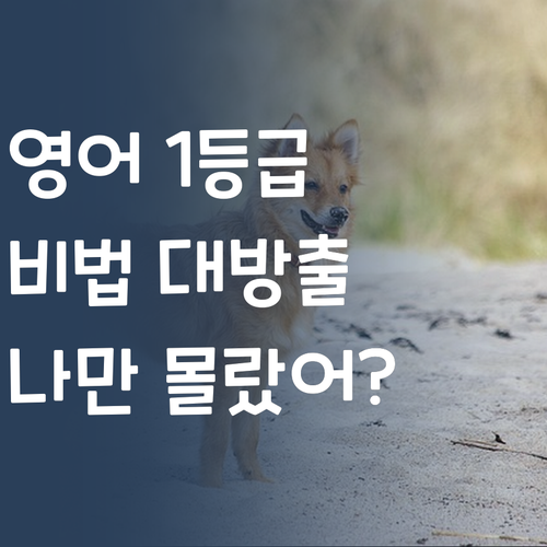 나만 몰랐던 꿀팁?! 1:1 화상 과외로 영어 1등급 찍은 썰 푼다!