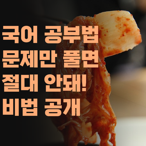 국어, 단순히 문제만 풀어서는 안돼! 퍼스널멘토만의 특별함, 궁금하제?