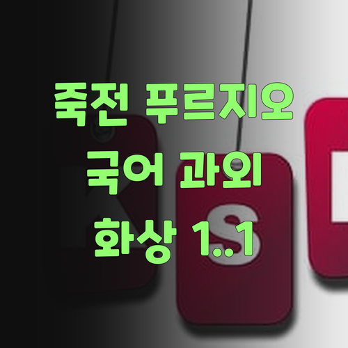 고양 죽전 푸르지오 국어 과외 고민? 1:1 화상 과외가 답이여!..