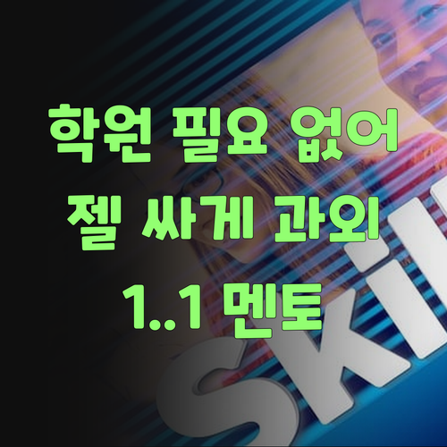 비싼 학원 필요 없다! 퍼스널멘토로 젤 싸게 1:1 과외 성공했어라..