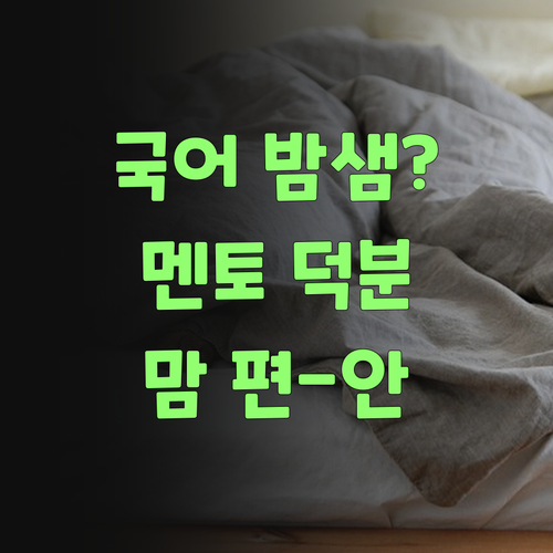 국어 때문에 밤잠 설쳤는디.. 퍼스널멘토 덕분에 이젠 맘 편하요..
