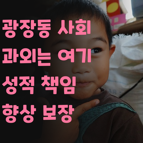 광장동 사회 과외, 이 멘토만 믿어봐! 성적 향상 책임질게!