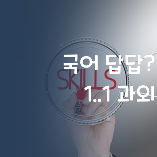 국어 성적, 답답했지? 퍼스널멘토 1:1 과외로 고민 해결! ✨