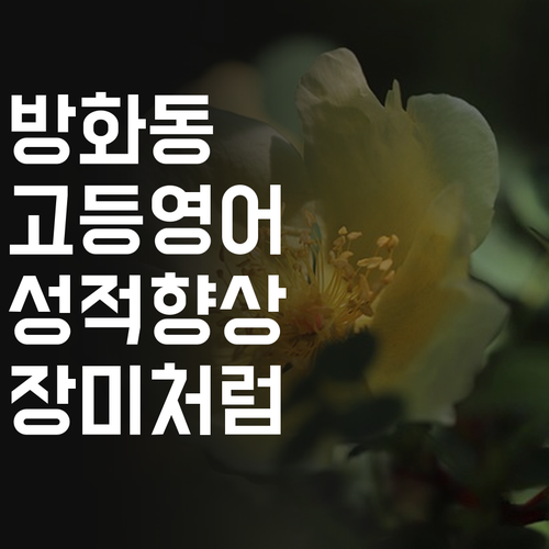 방화동 고등 영어, 장미처럼 활짝 피어날 성적! 🌹