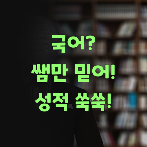 국어? 쌤만 믿어! 성적 쑥쑥, 재미는 덤이여!..