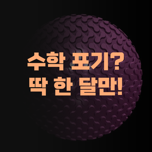 수학, 아무리 해도 안 된다면? 퍼스널멘토 1:1 과외 믿고 딱 한 달만 해 보이소..