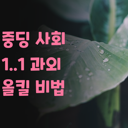 중딩 사회, 1:1 맞춤 과외로 올킬! 퍼스널멘토 믿어봐! 😉