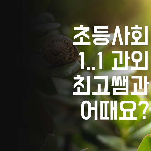 등촌임광 초등 사회, 최고의 선생님과 1:1 과외! 어때요? ㅎㅎ