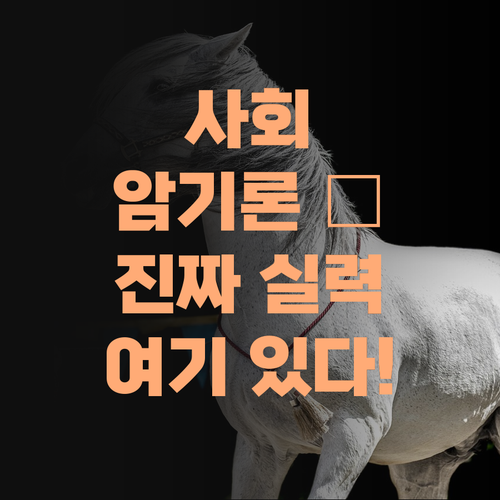 사회, 암기만으론 안 된다! 진짜 실력 키워주는 과외, 여깄다!